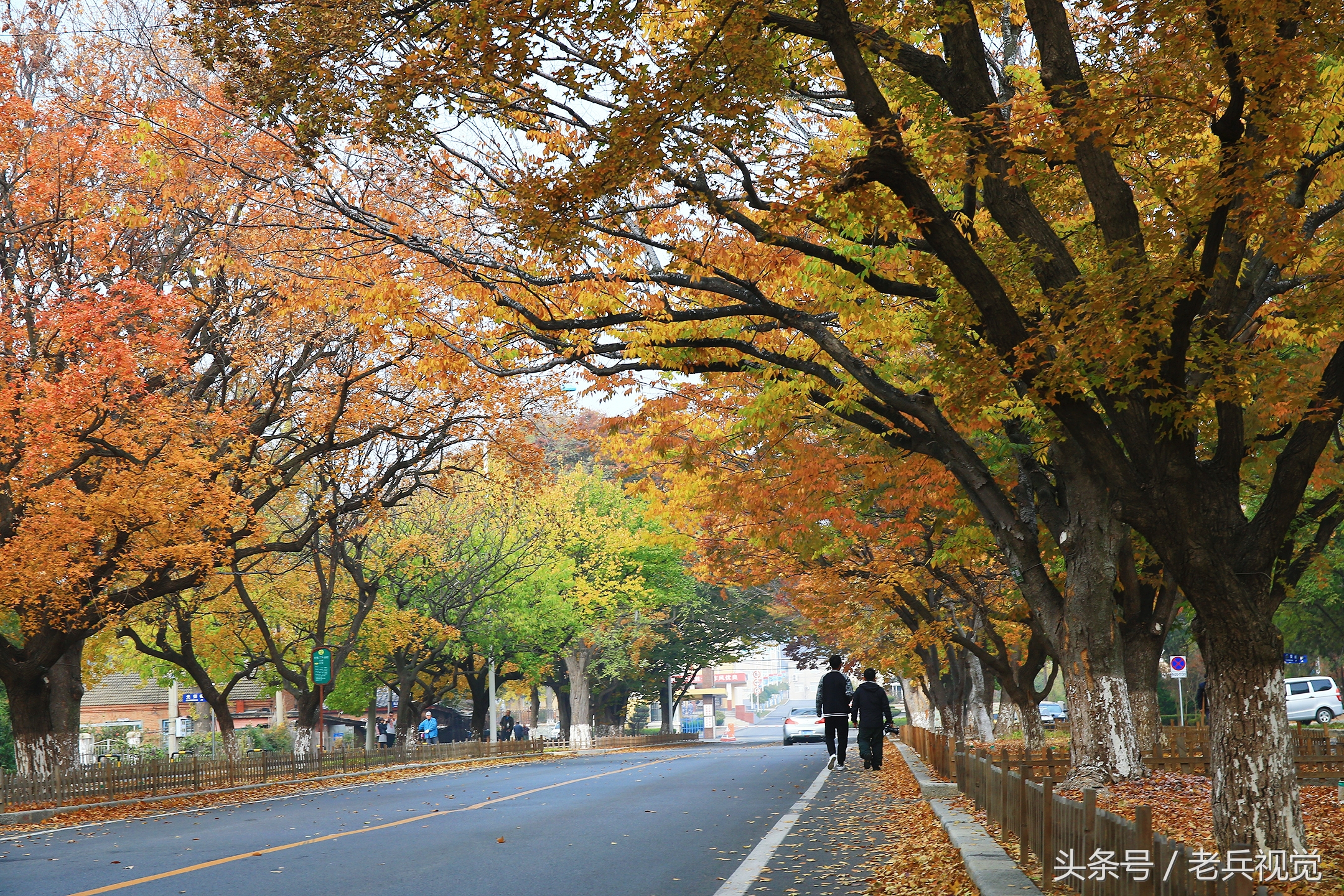 大连的秋天,大连附近秋天值得去的城市