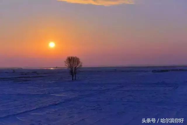 哈尔滨几月份去最舒服,哈尔滨哪个地方好玩住的地方便宜