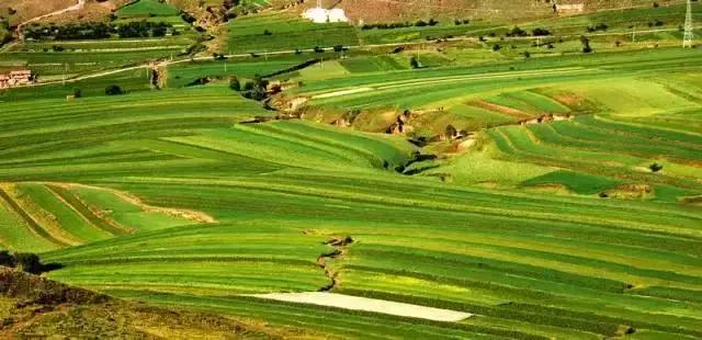 张家口之夜景色真的很美,从来没有见过的张家口美景