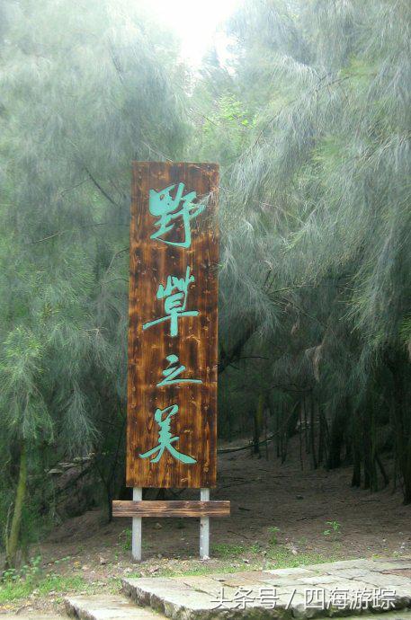 浙江玉环漩门湾国家湿地公园灯光,浙江玉环漩门湾湿地公园拍鸟