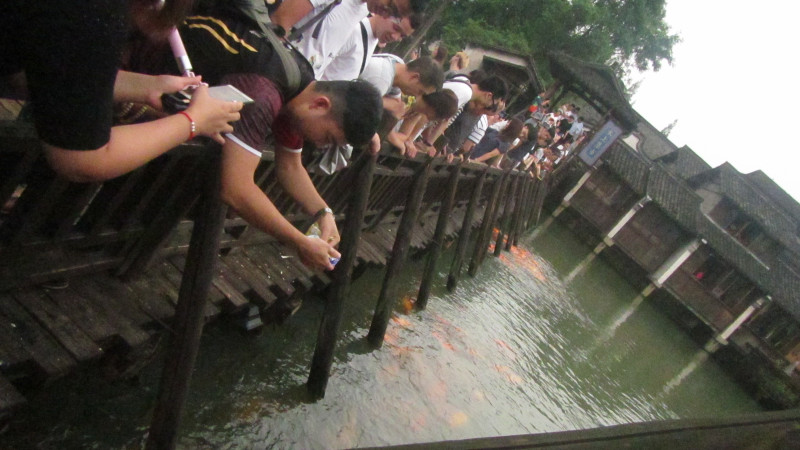 苏州西塘乌镇二日游团从杭州出发,苏州西塘乌镇二日一夜