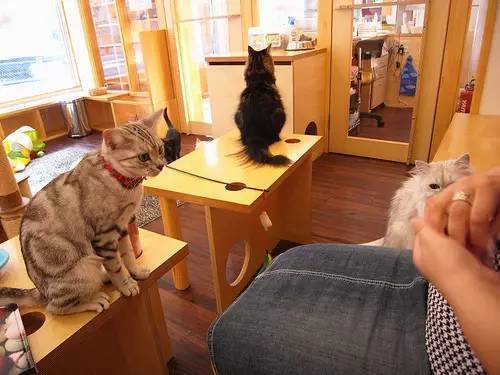 小米mix2尊享版标准版,小米mix2尊享版有限量版吗