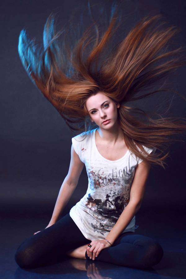 每日花语：9月13日杨柳-同日之星张晓敏/陈慧琳（图）