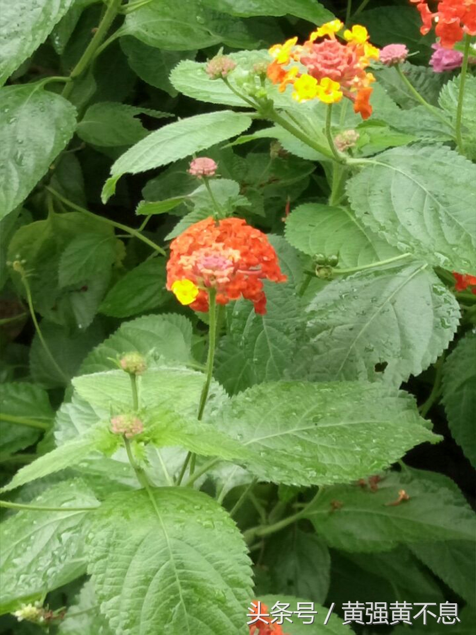 留住文化留住根昆山让身体放松精神栖息的诗意之地