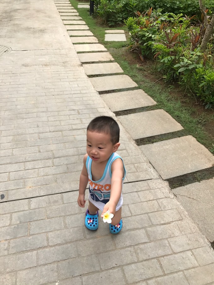 带不到一岁宝宝从北京到三亚,北京到三亚行程攻略