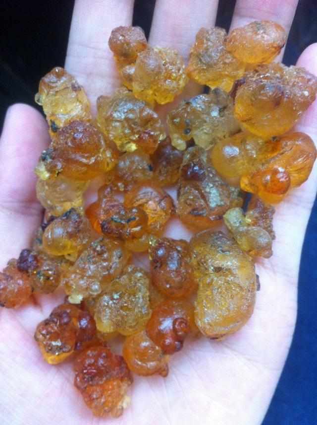 三农稀奇古怪的美食你吃过吗,农村里的这些菜个个都是宝