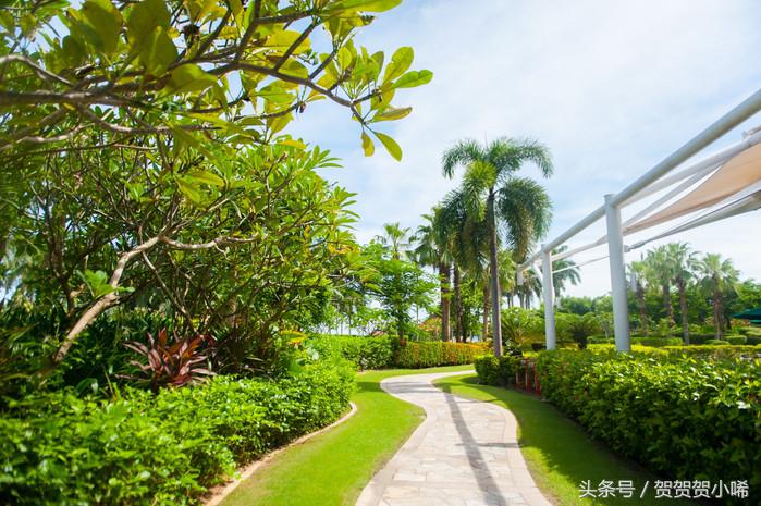 玄学大师香港李居明,李居明大师讲聚宝盆应该放啥