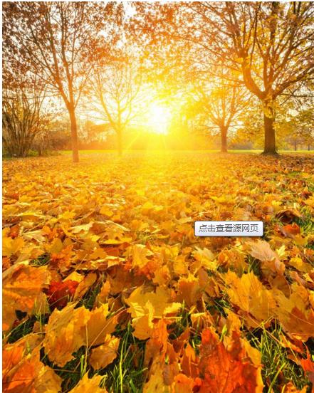 又到了痔疮大爆发的秋季了，做好这三点，轻松解决痔疮