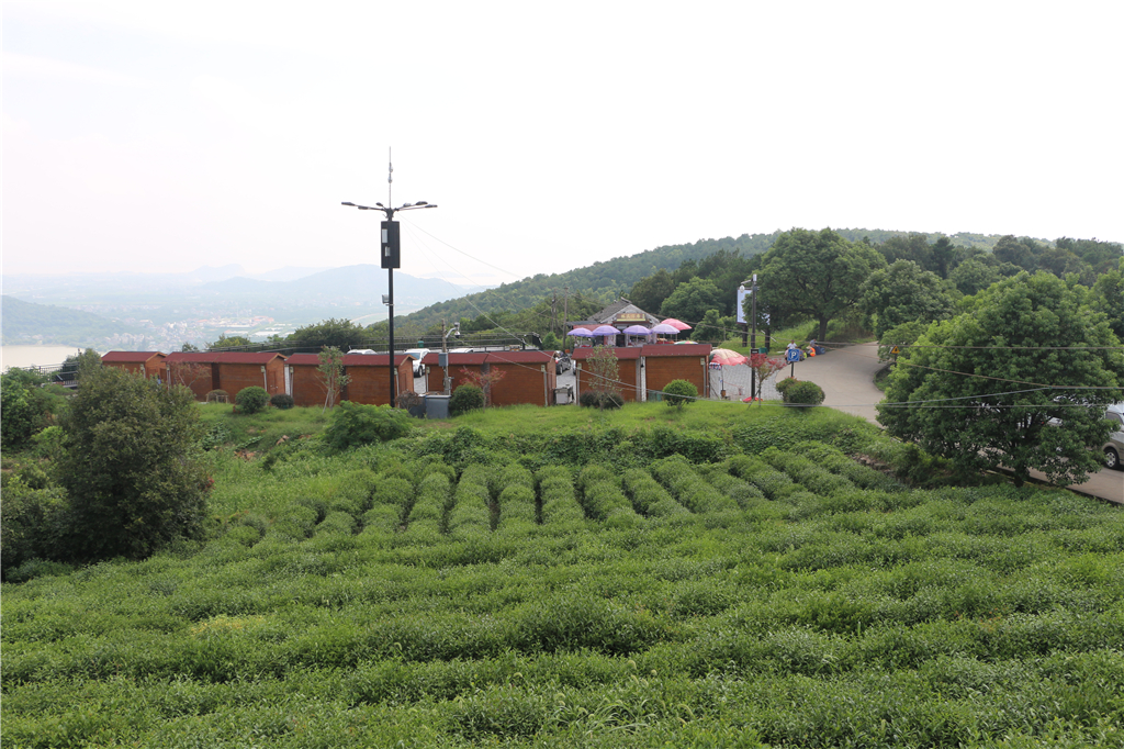 品农家菜,品农家美食