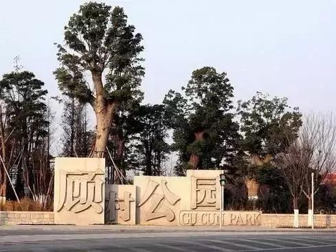 上海地铁直达花海,上海地铁9号线景点