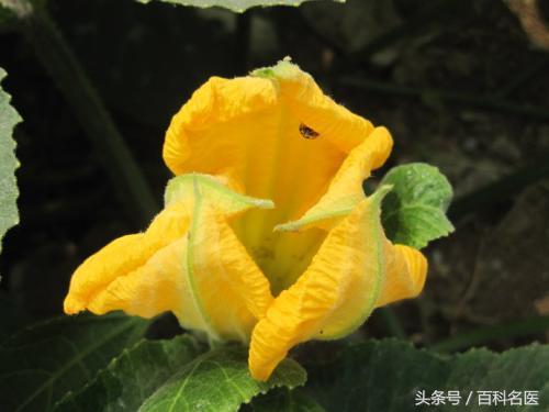 俗话说“一根米须二两金！”，这些好处要知道，坚持1个月出奇效