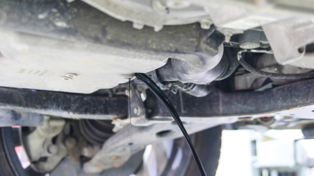 翼虎的10大忠告,翼虎详细介绍