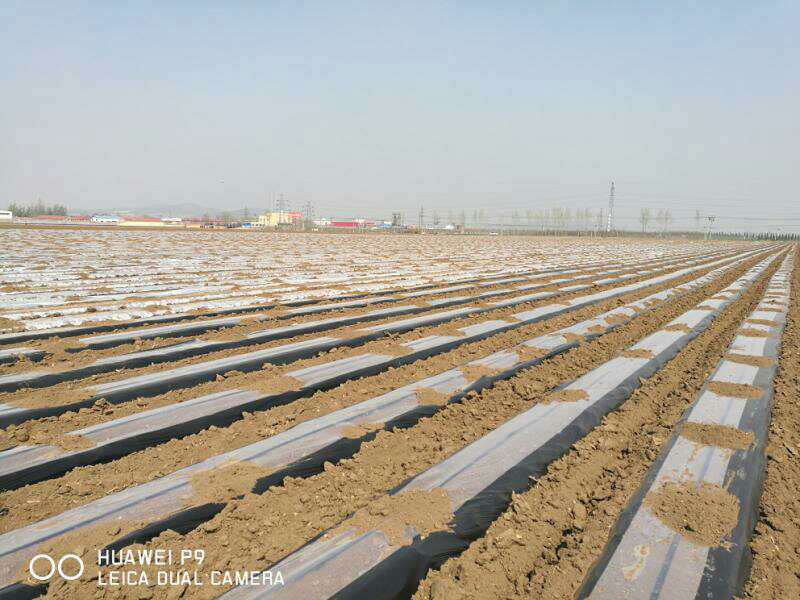 山东清田地膜,清田地膜