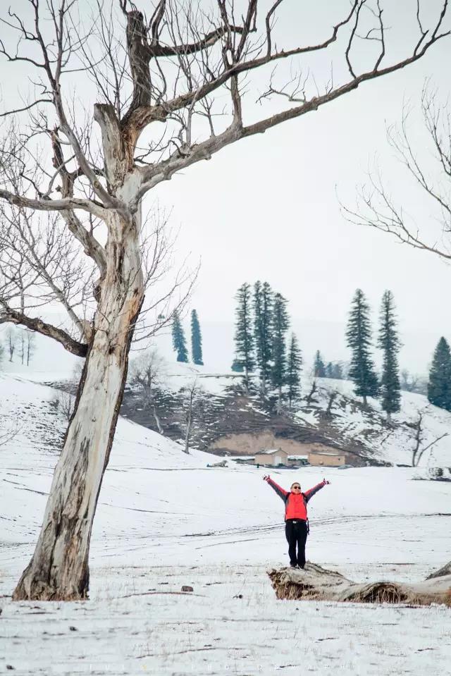 回顾：旧梦之域，新辟之疆‖这是一个让我魂萦梦绕的地方