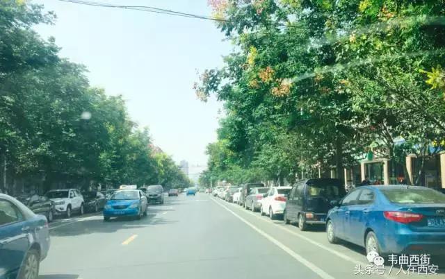 叫了这么多年的“韦曲西街”，根本不存在