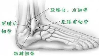 当你在球场受伤,你在球场受过的伤