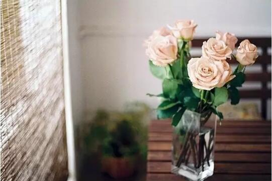 地阔能容山河心宽能容天下难容,眼宽能容天下景心宽能容天下事