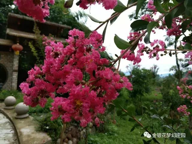 距离成都3个小时的秘境,距离成都8小时以内的景区