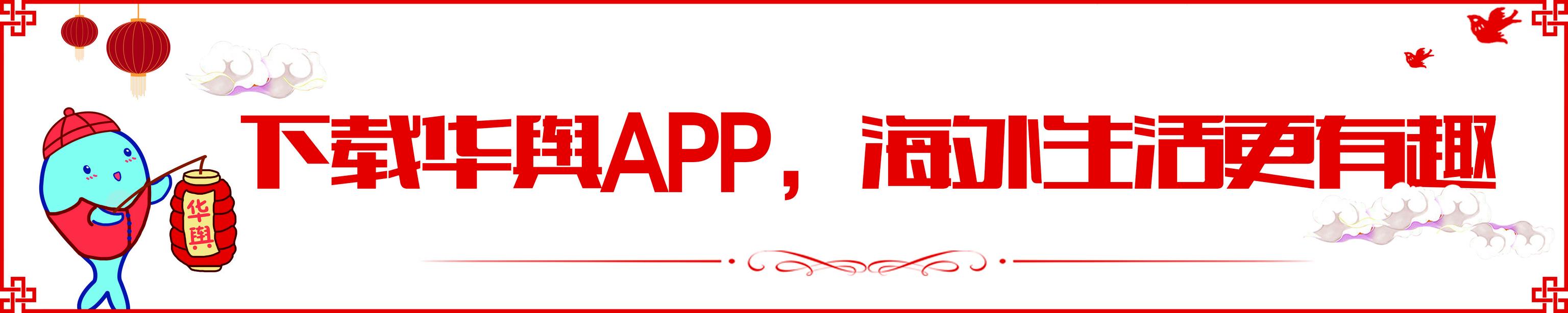 中国驾照在澳大利亚能开货车吗,中国驾照在澳洲需要重新考吗