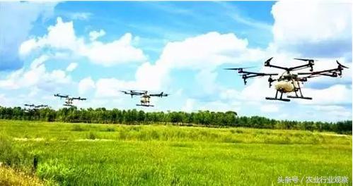 拉虎皮扯大旗的后果,拉大旗作虎皮的故事