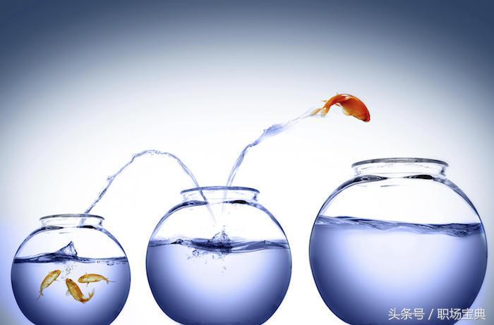 遇到极品经理该怎么把他弄走,对付极品上司最好的办法