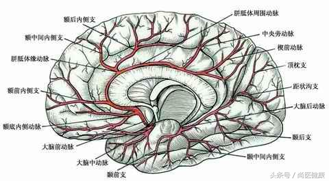 脑供血不足头疼头晕恶心怎么回事,脑供血不足头晕恶心怎么办