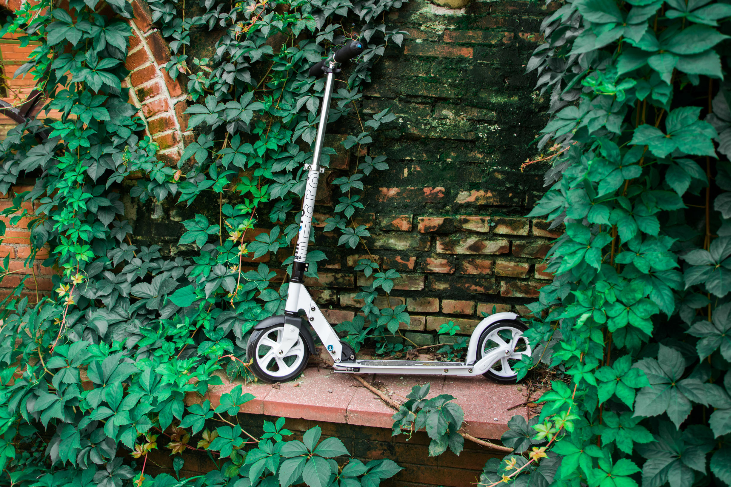 外甥的滑板车,送给外甥的礼物玩具