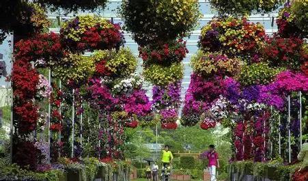 上海地铁直达花海,上海地铁9号线景点