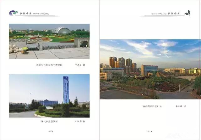 杨凌蘸水面高凤香,杨陵杨凌