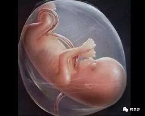 胎儿腹围偏大3周头围偏大2周,受孕早胎儿偏大会一直偏大吗