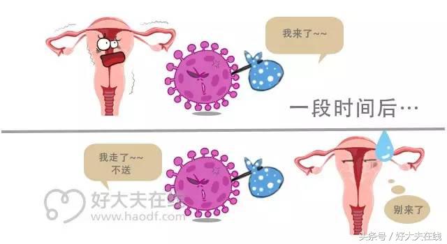 真人讲述：“HPV阳性”就诊体验