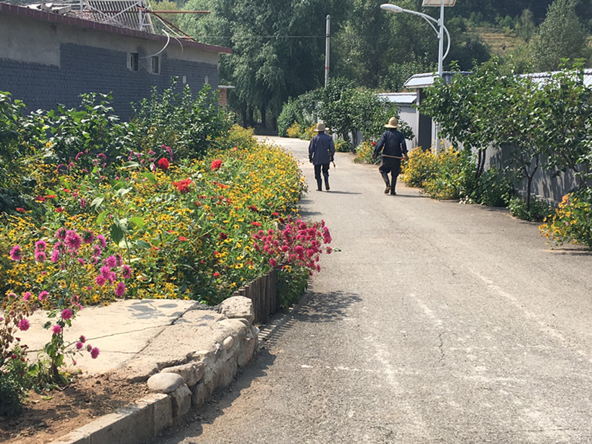 厉害了这个四线小城,厉害了滕州有这么一个小村庄