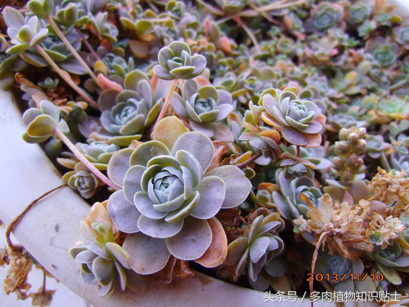 数不尽的岁月,数不尽的岁月的沉淀