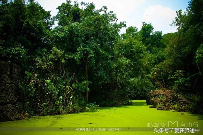 黄果树瀑布游记,黄果树瀑布旅游攻略游记