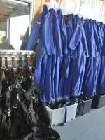 在新西兰掉发,在新西兰飞去阿根廷