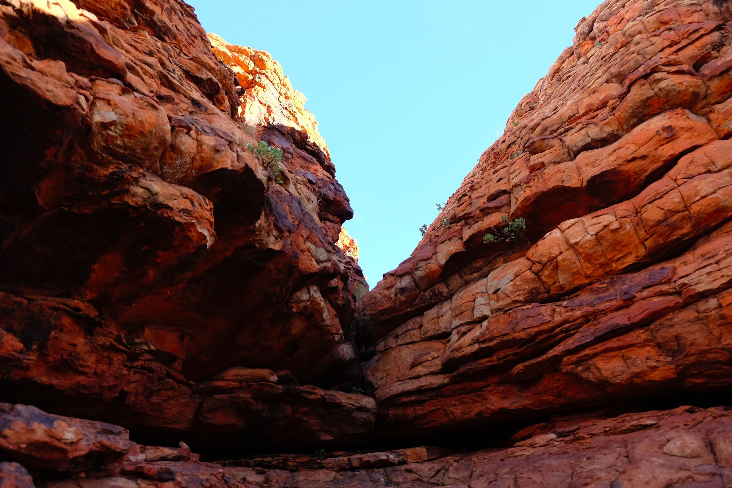 关于澳洲的一切,澳大利亚国王峡谷