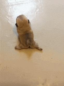 节操碎了：给我一个食堂的馒头，我能撬起整个地球