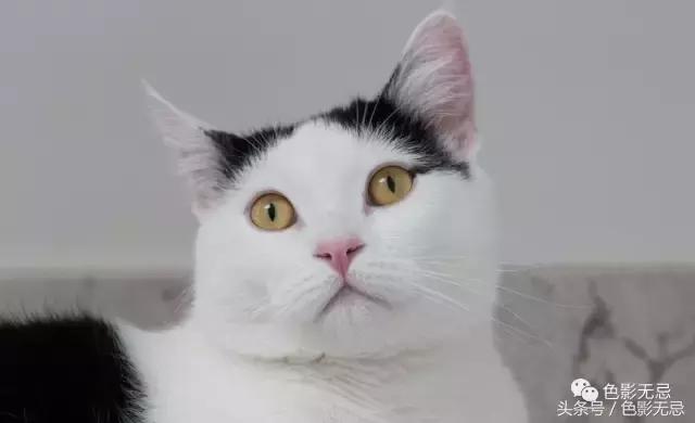 关于尼康d850的一些问答,尼康d850买回来怎么打开