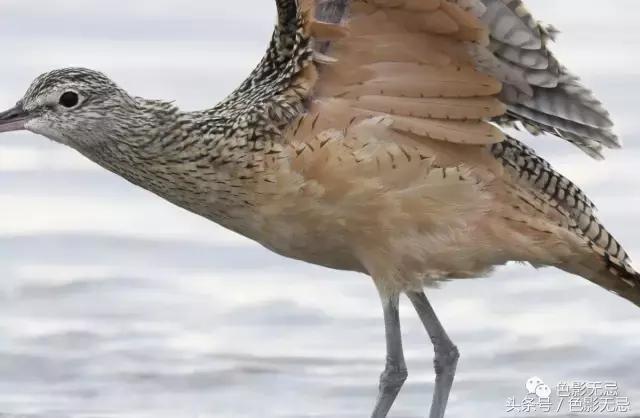 尼康d850数码单反摄影圣经,尼康d850的深度评价