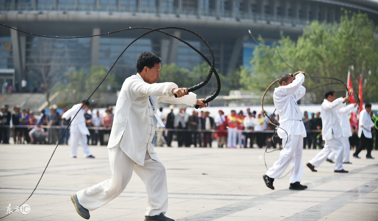 中国武术九连鞭,武术传统器械九节鞭动作方法