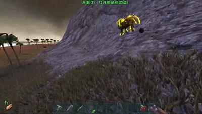 这可能是世界上最野的抓猛兽指南了，动物园的驯兽师看完全跪了！