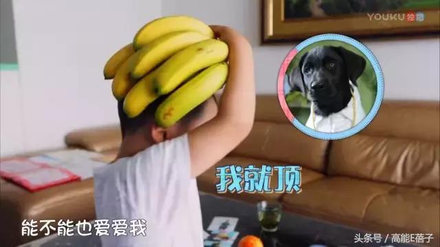 罗志祥小手牵小狗,小手牵小狗2018罗志祥