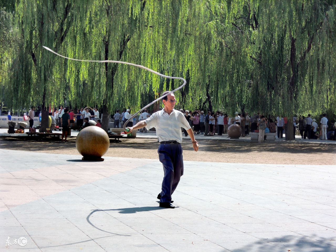 中国武术九连鞭,武术传统器械九节鞭动作方法