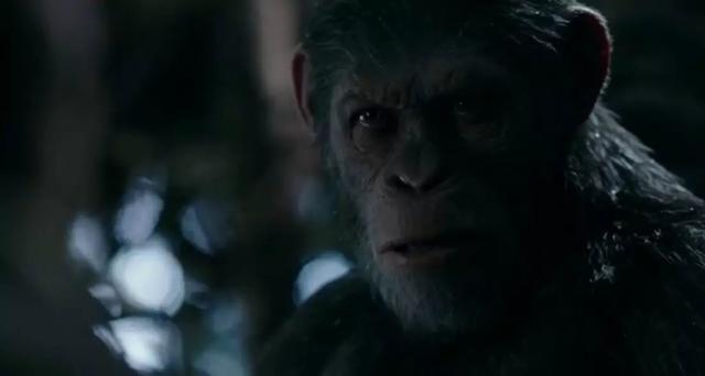 猩球崛起得了什么奖项,猩球崛起靠谱吗