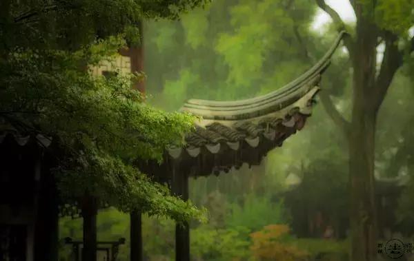 等一个风和日丽的日子,诗酒花茶的句子