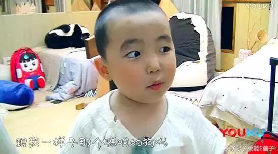 罗志祥小手牵小狗,小手牵小狗2018罗志祥