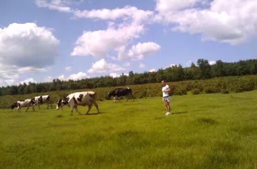 弯梁摩托质量好吗,弯梁摩托有多重