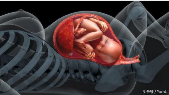 昆山准妈：越来越多的麻麻存起了胎盘你是否还拿来吃？