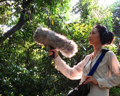 无损音质歌曲和一般的有什么区别,无损音质比高品音质好吗