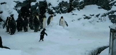 爱聊不推人怎么解决,爱聊不能关注对方的原因